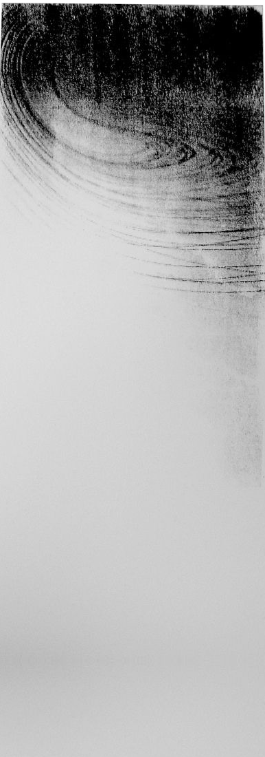 values_img03